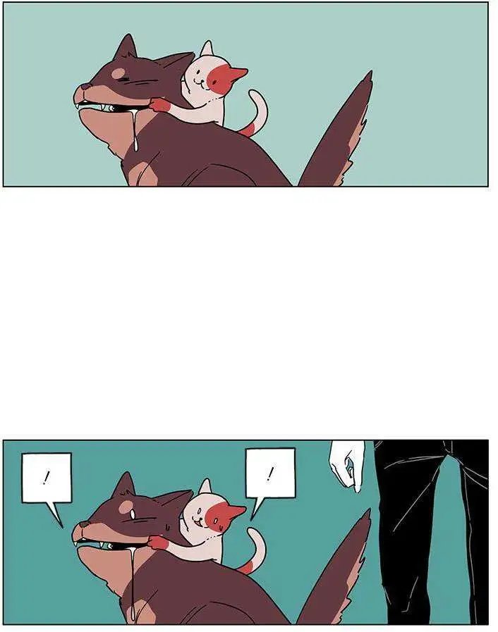 第00回