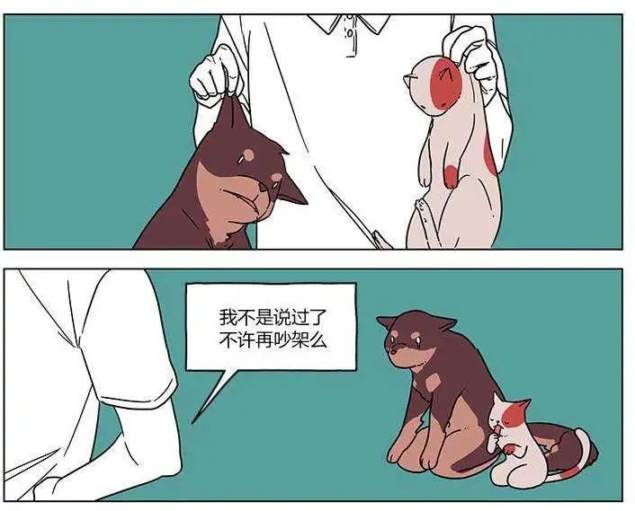 第00回