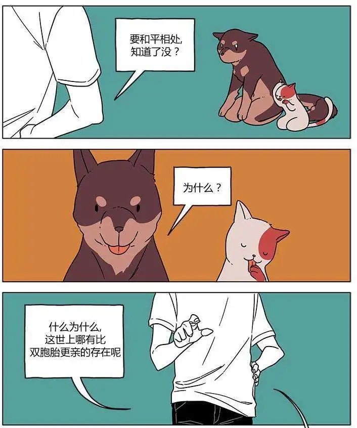 第00回