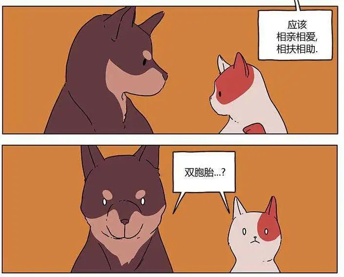 第00回