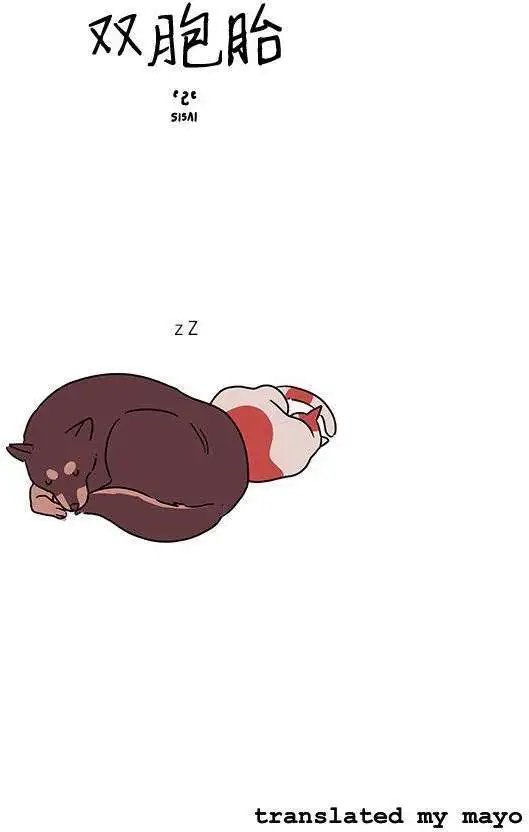 第00回