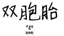 第13回