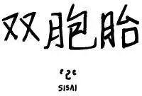 第31回