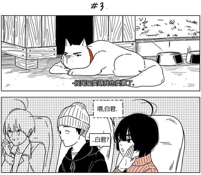 第31回