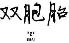 第2季20回