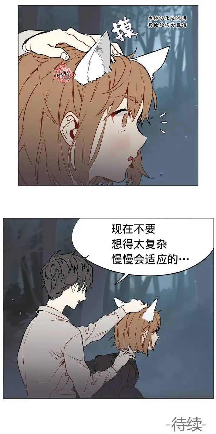 第11回
