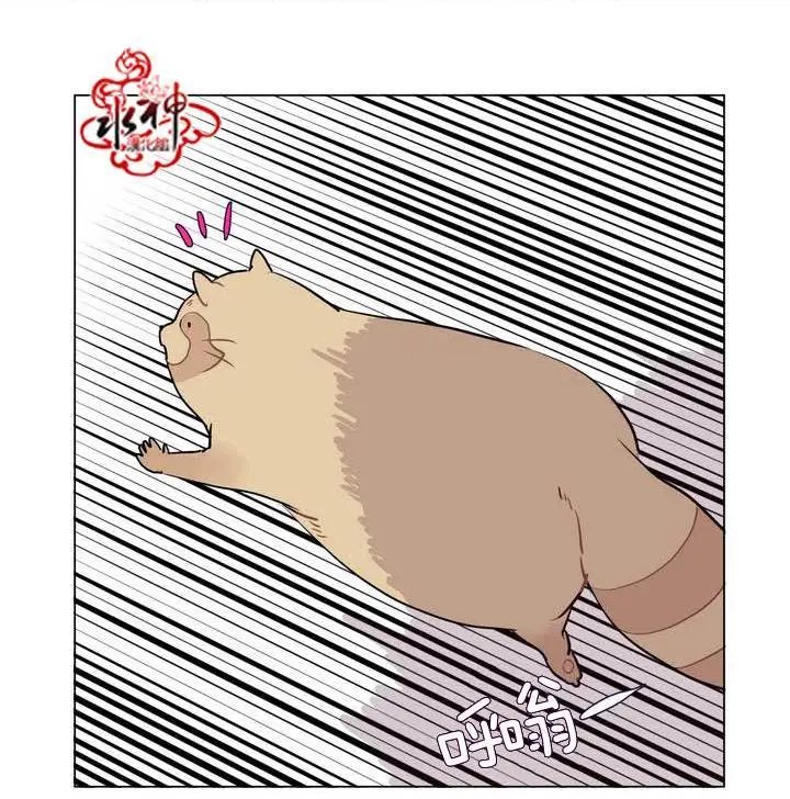 第17回