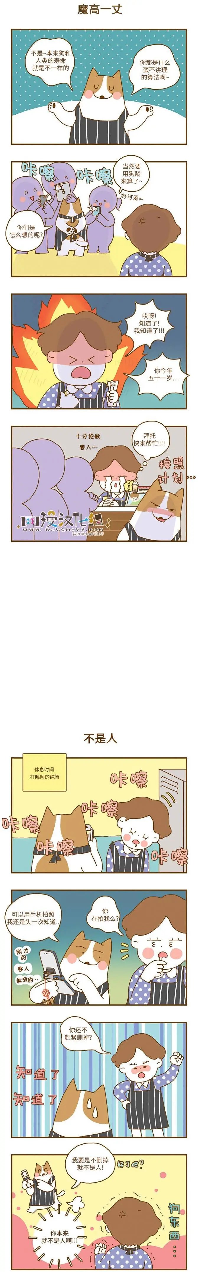 第06回