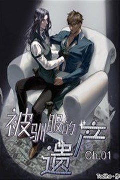 wuliandianfeng-pikapi