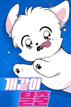 wuliandianfeng-pikapi