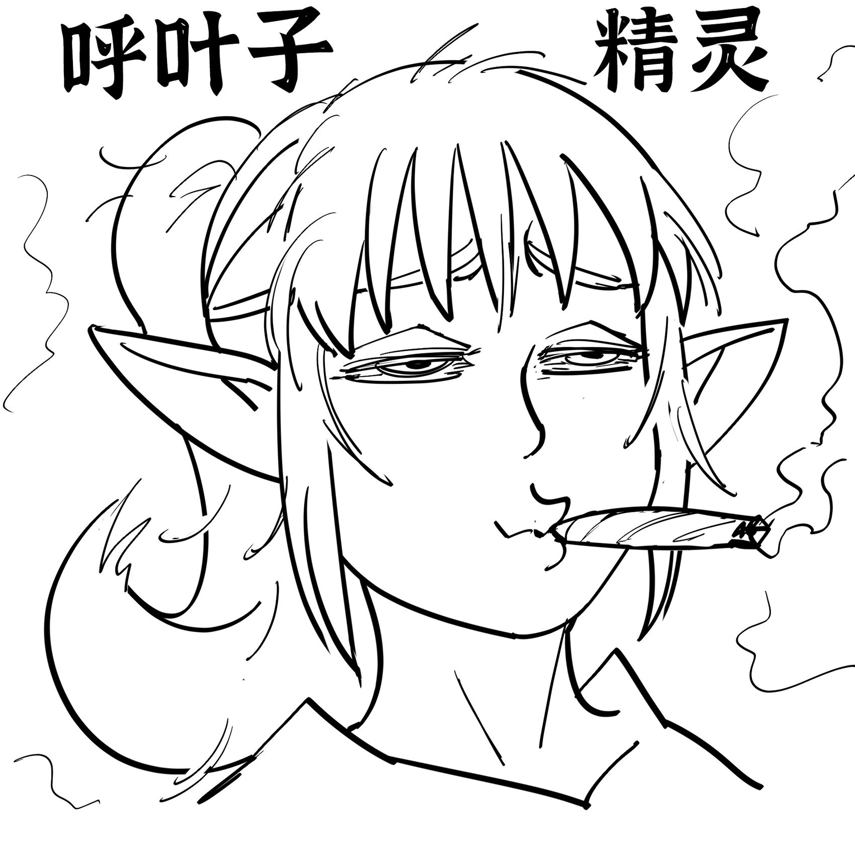 N-elF-T项目2