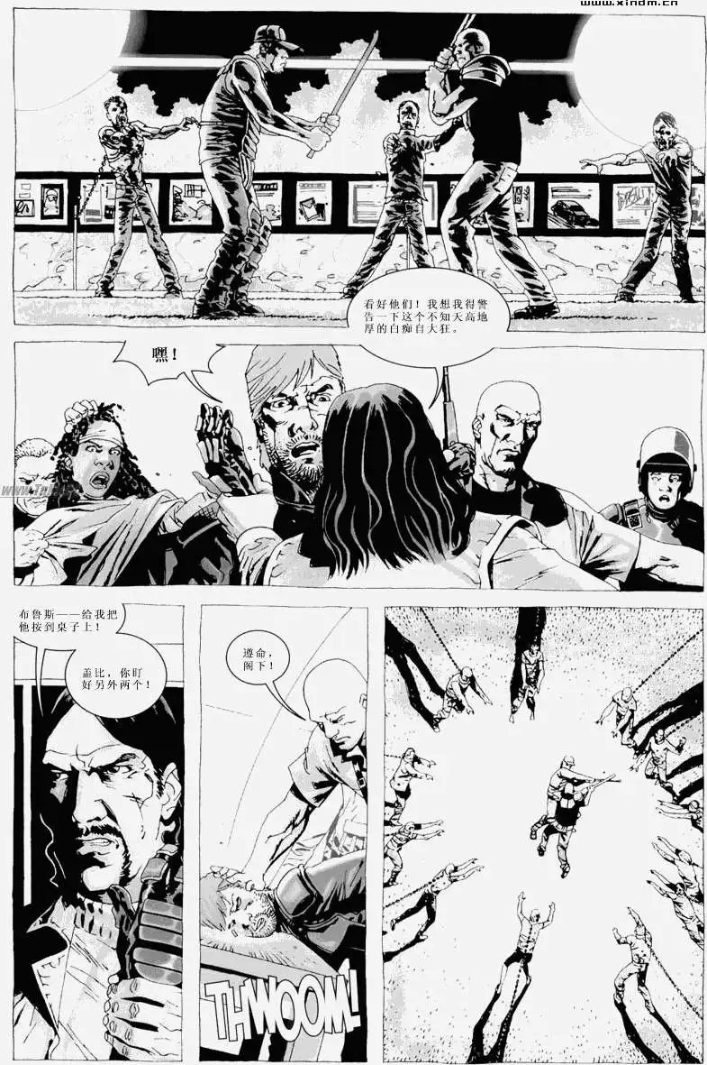 第28卷