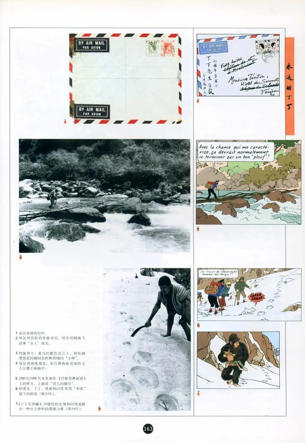 26 永远的丁丁