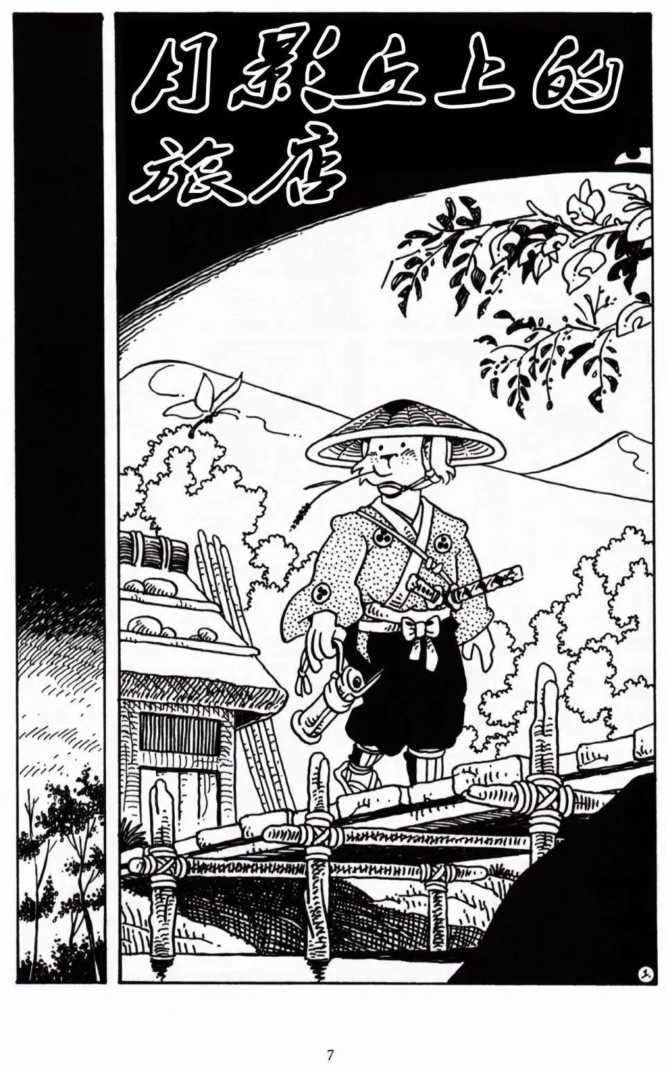 第31卷