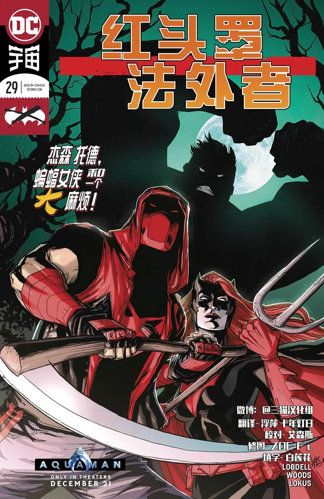 第29卷