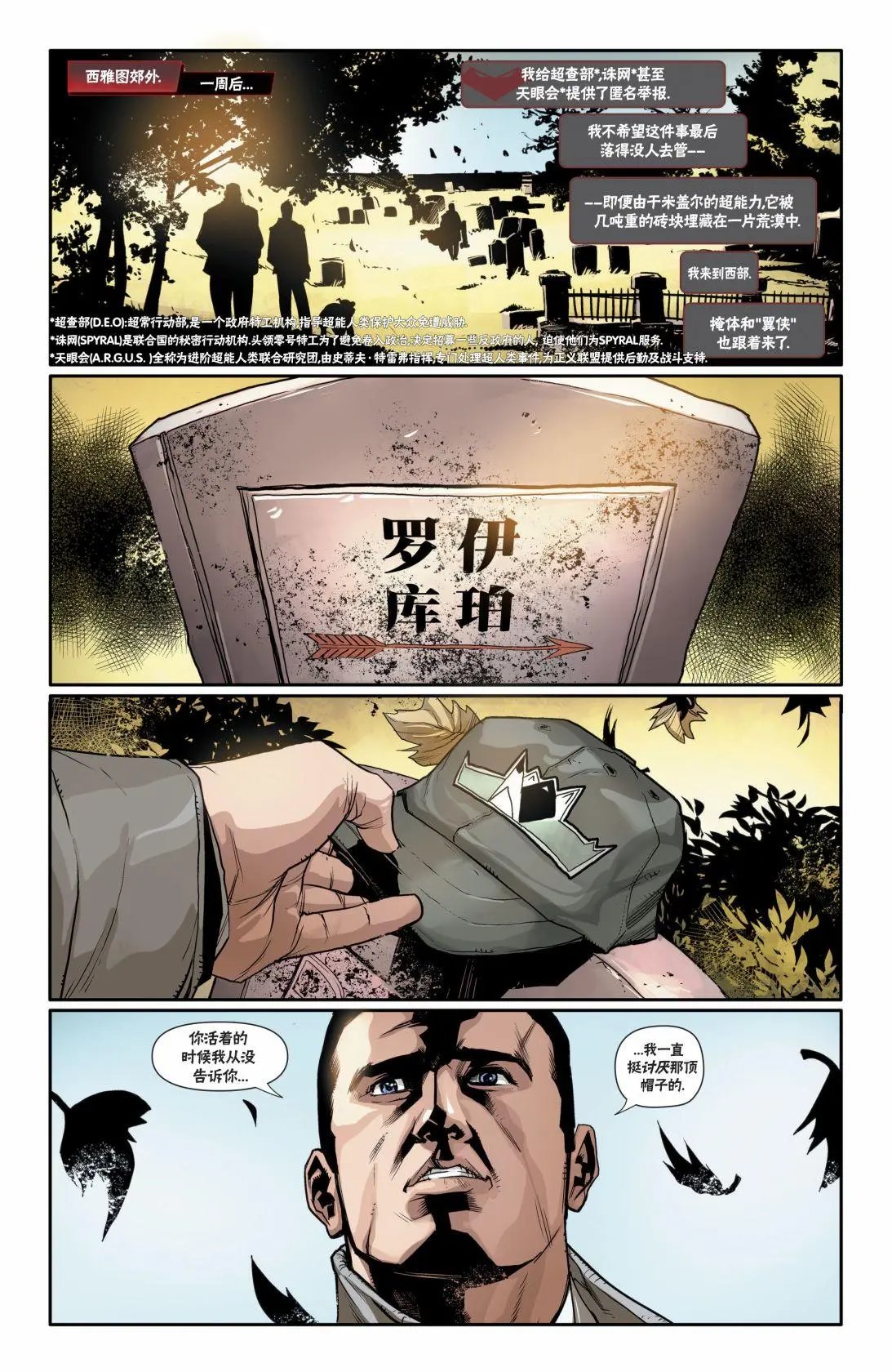第31卷
