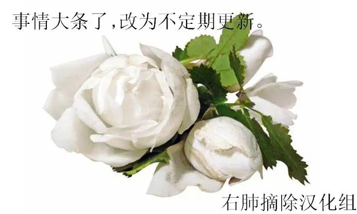 8-瓦图