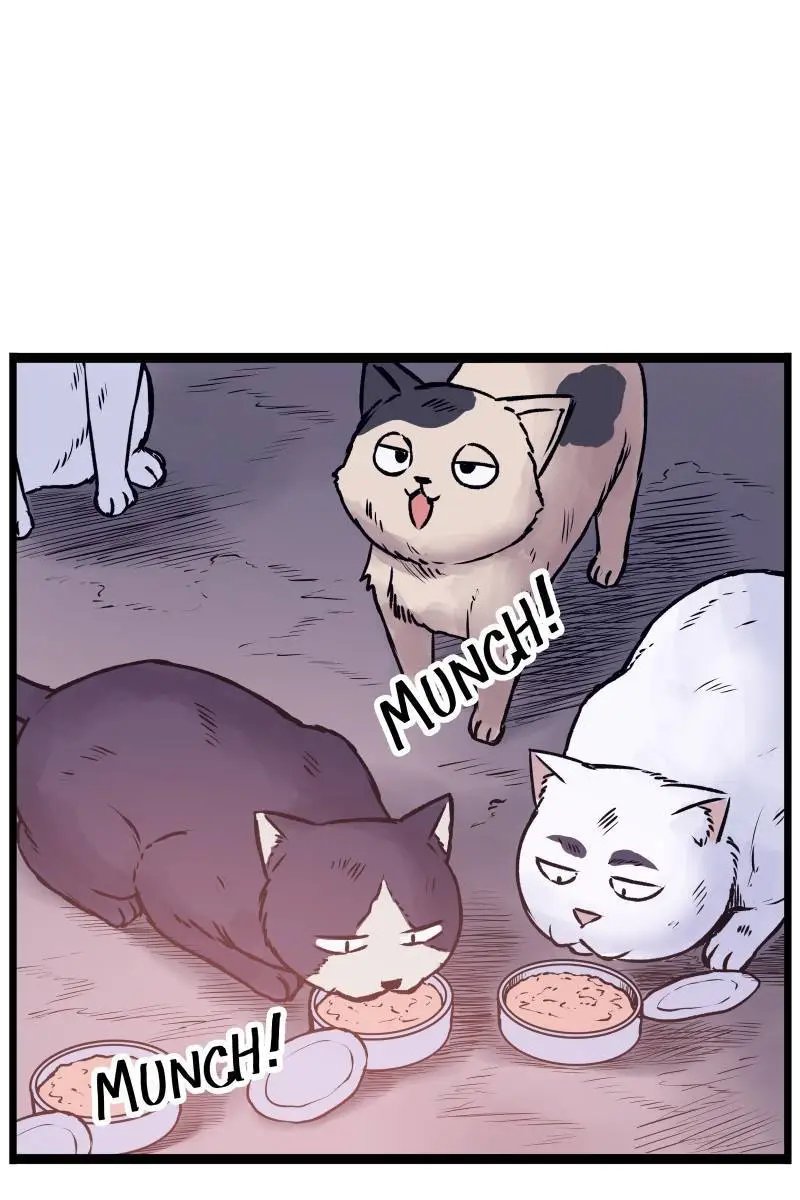 第08话