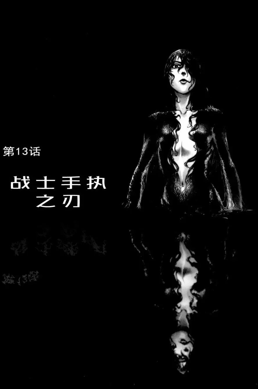 第13卷