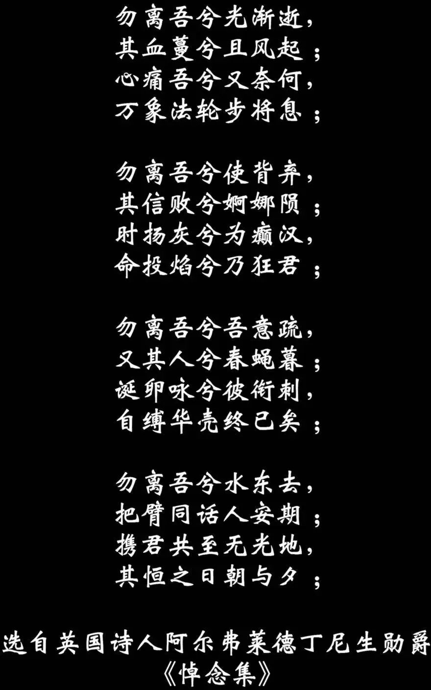 第41卷