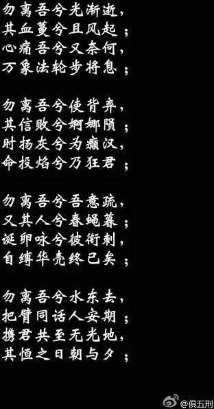 第41卷