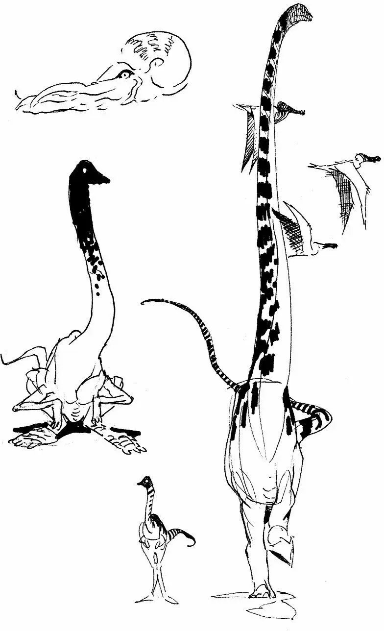 其他