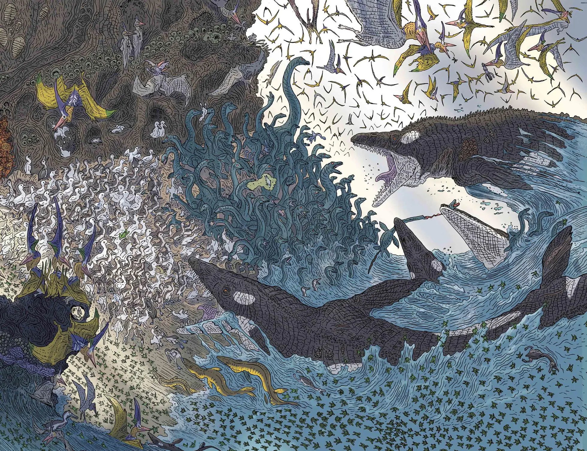 龙尸&海龟宝宝