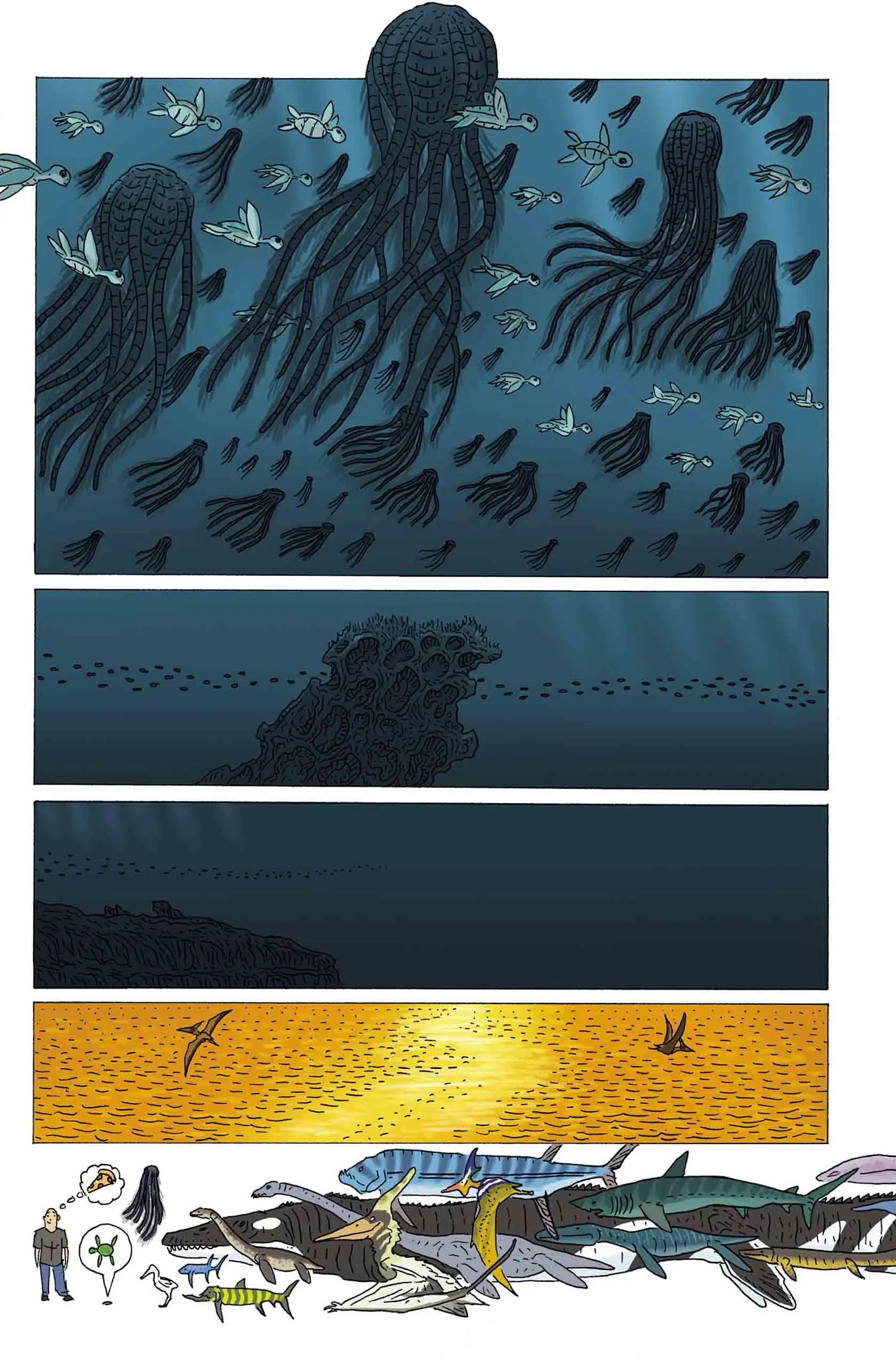 龙尸&海龟宝宝