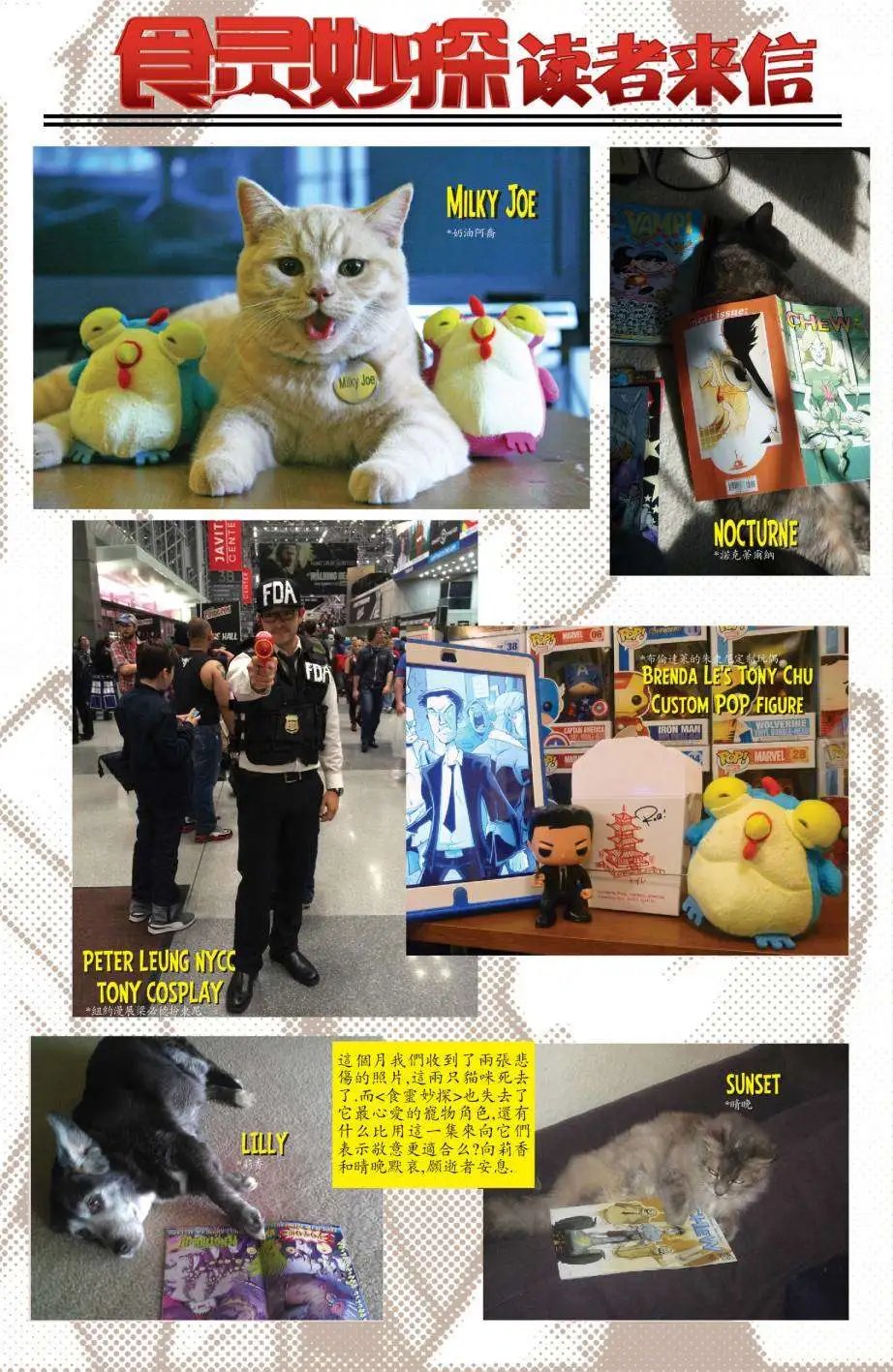 第45卷 酥炸鸡柳05