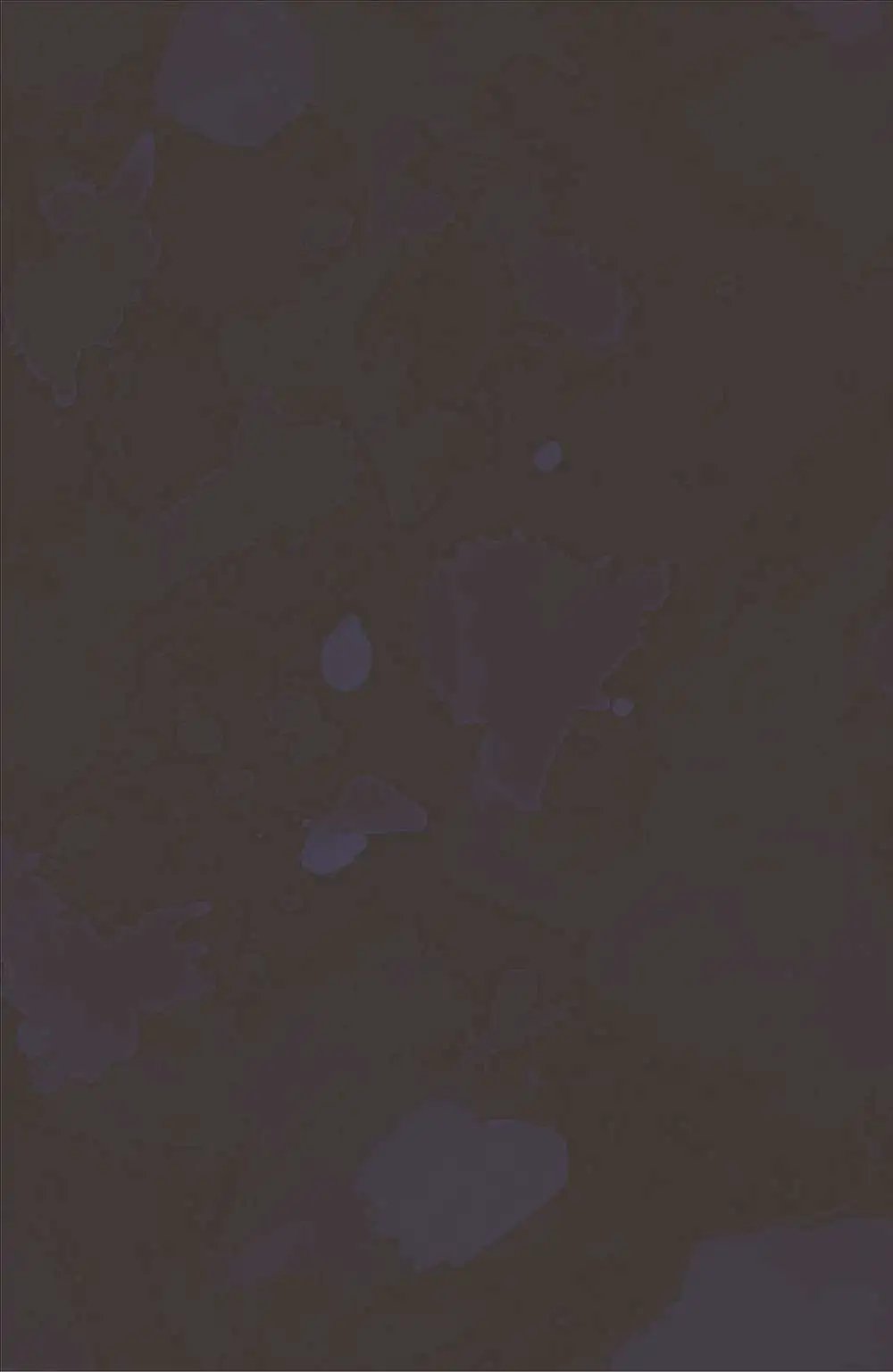 第05卷