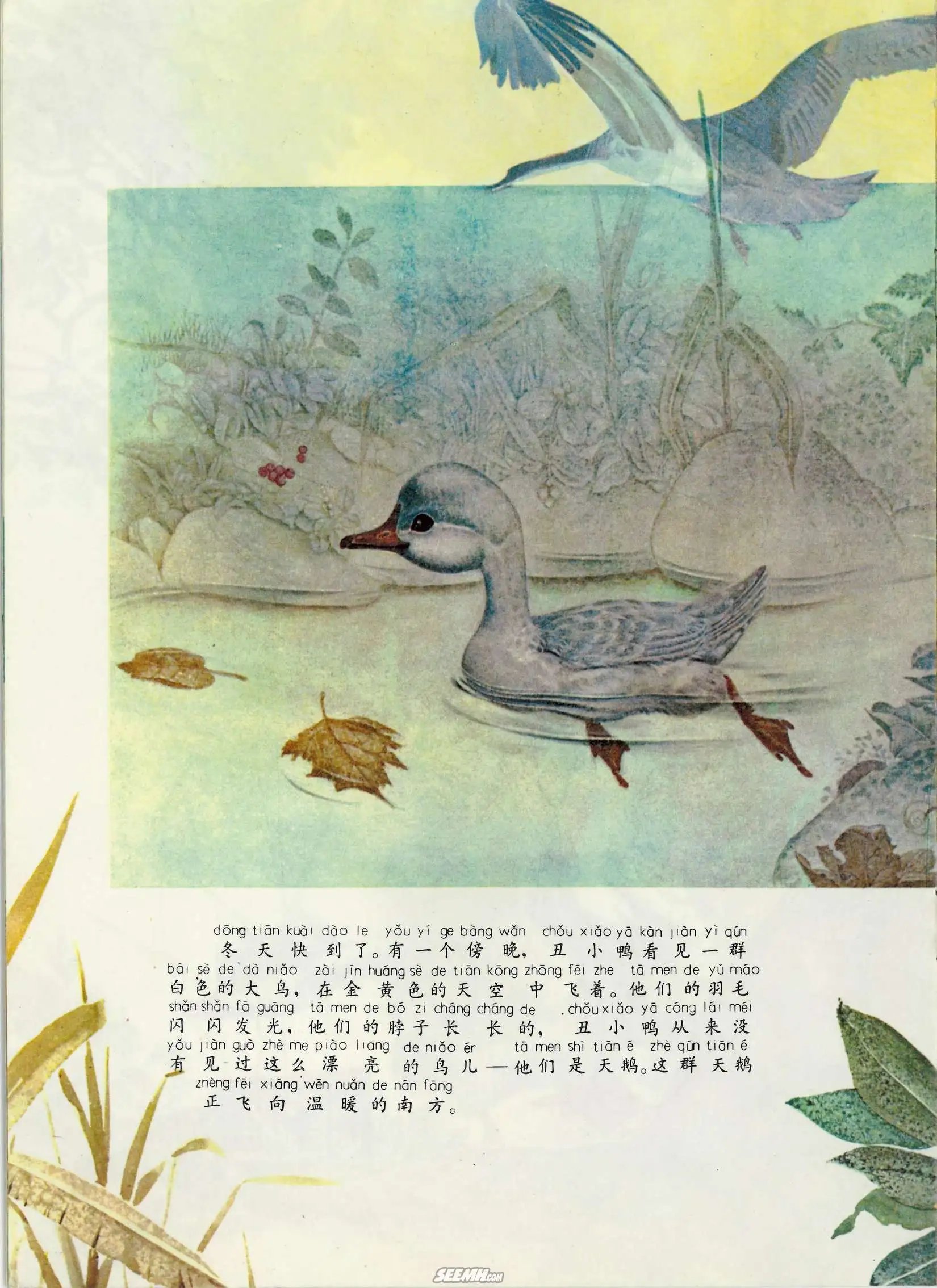 第01册