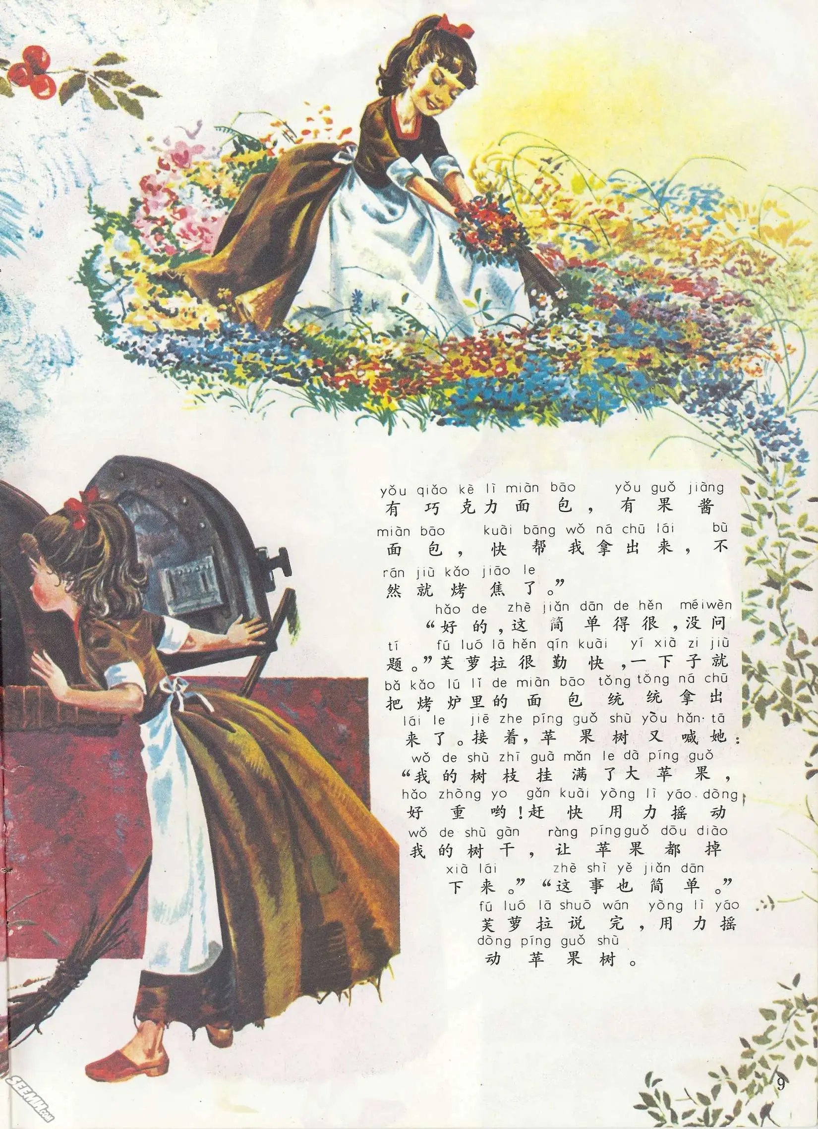 第11册