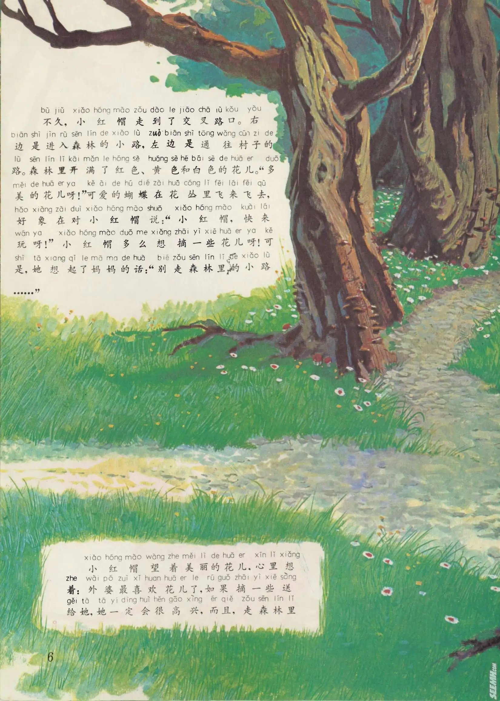第41册