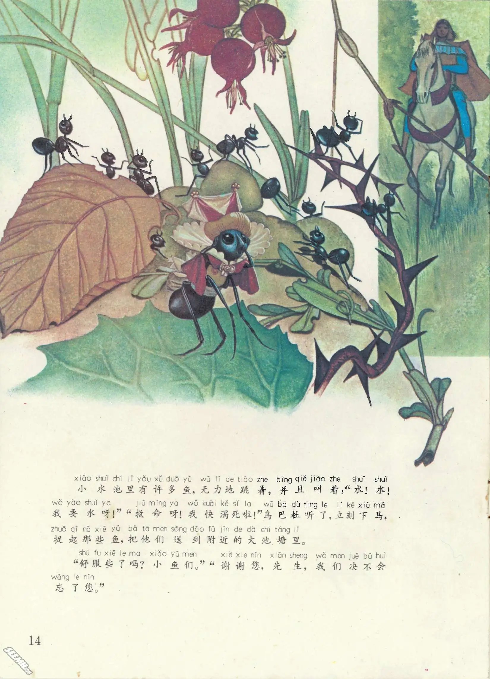 第51册