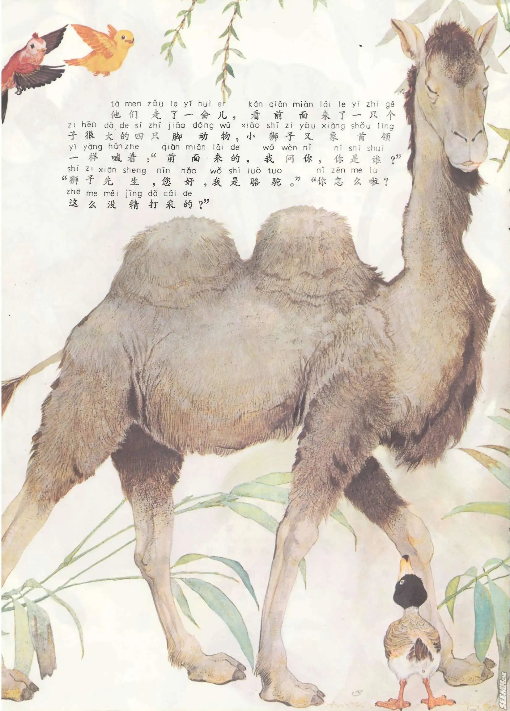 第06册