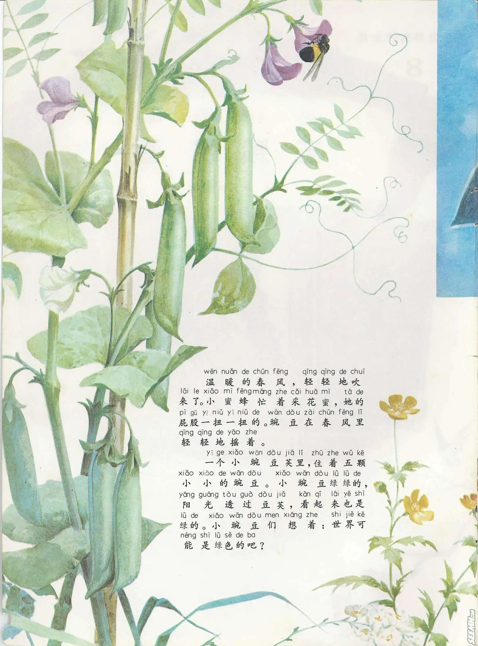 第08册