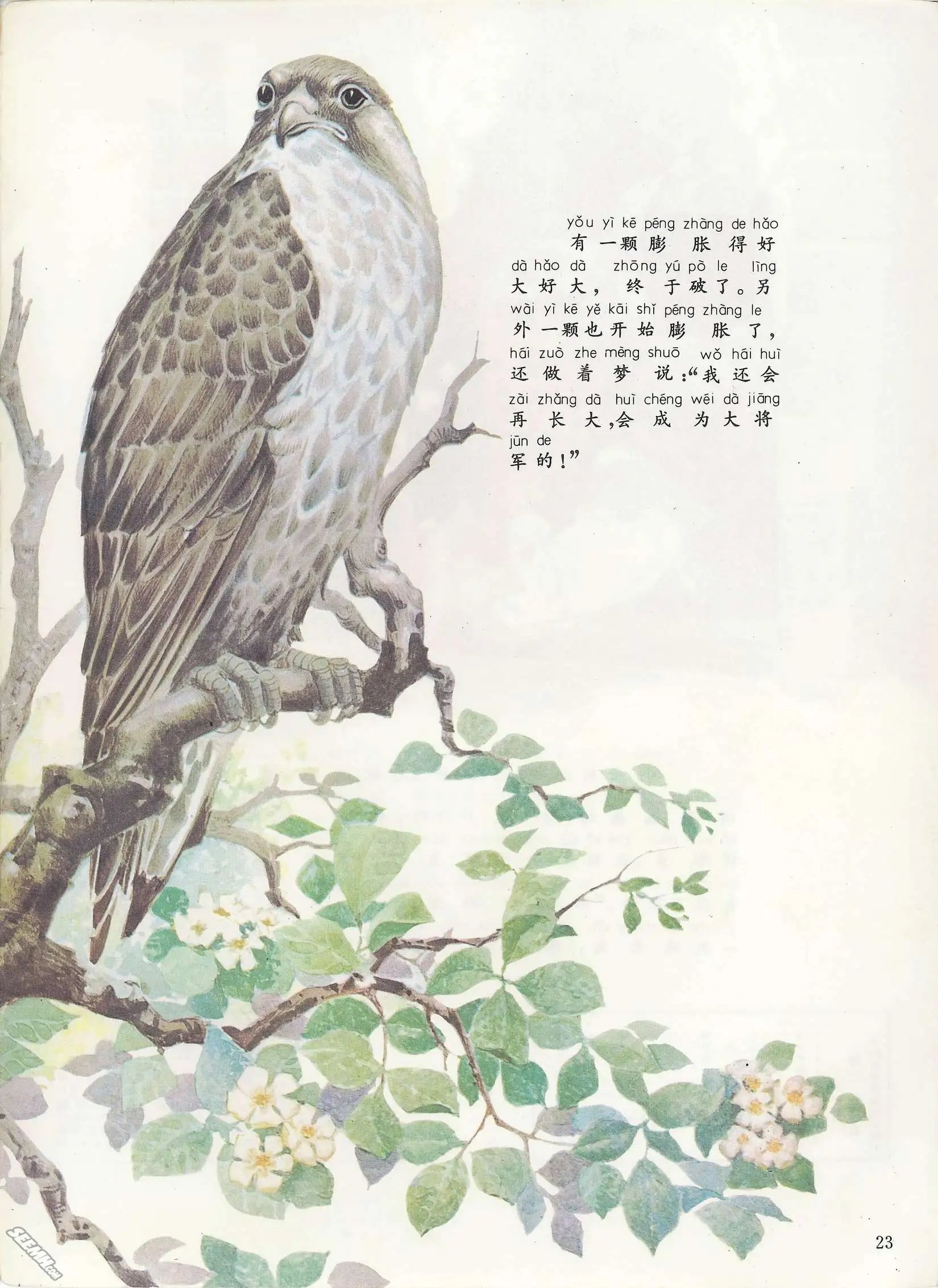 第08册