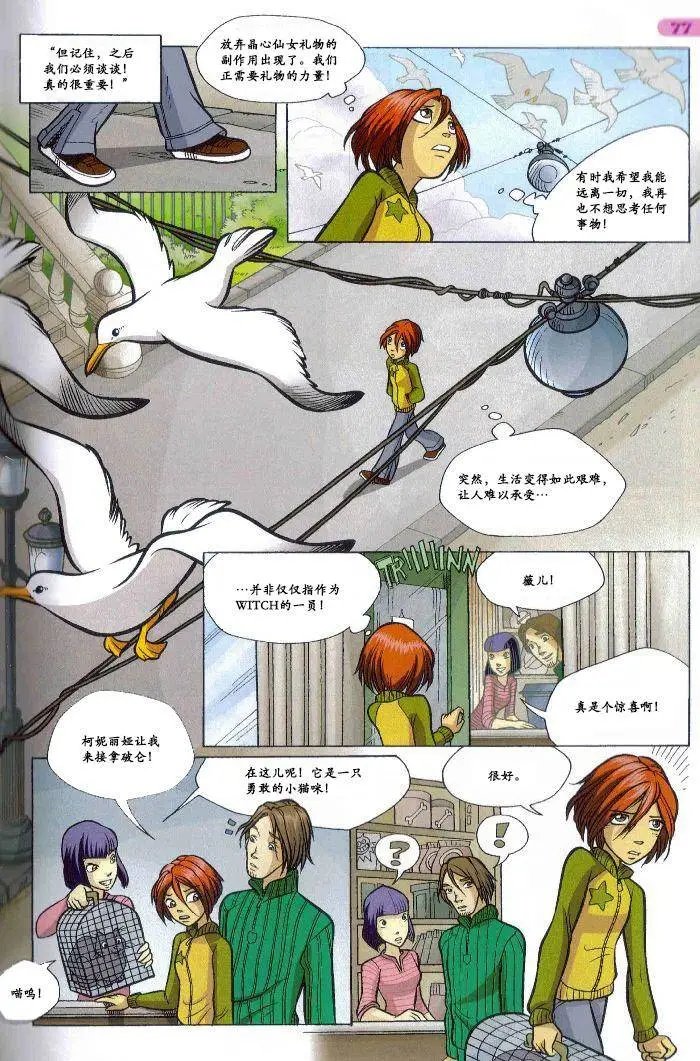 第37卷