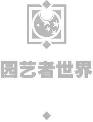 第20卷