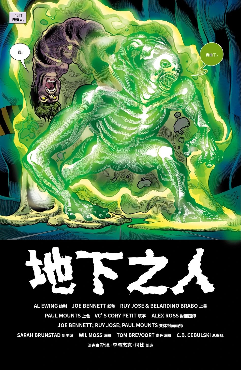 第41卷