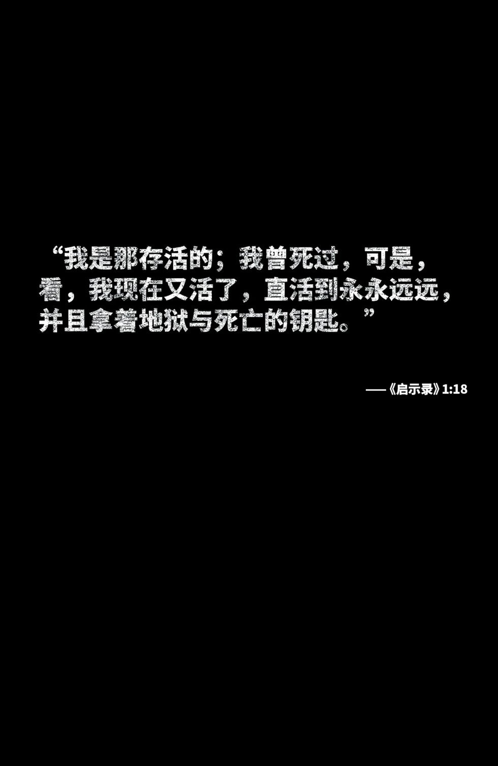 第50卷