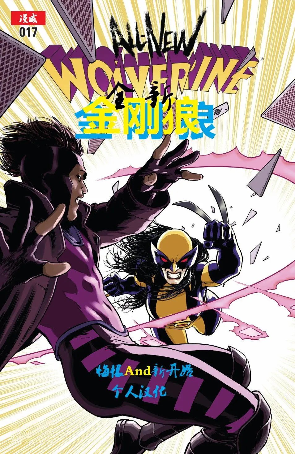 第17卷