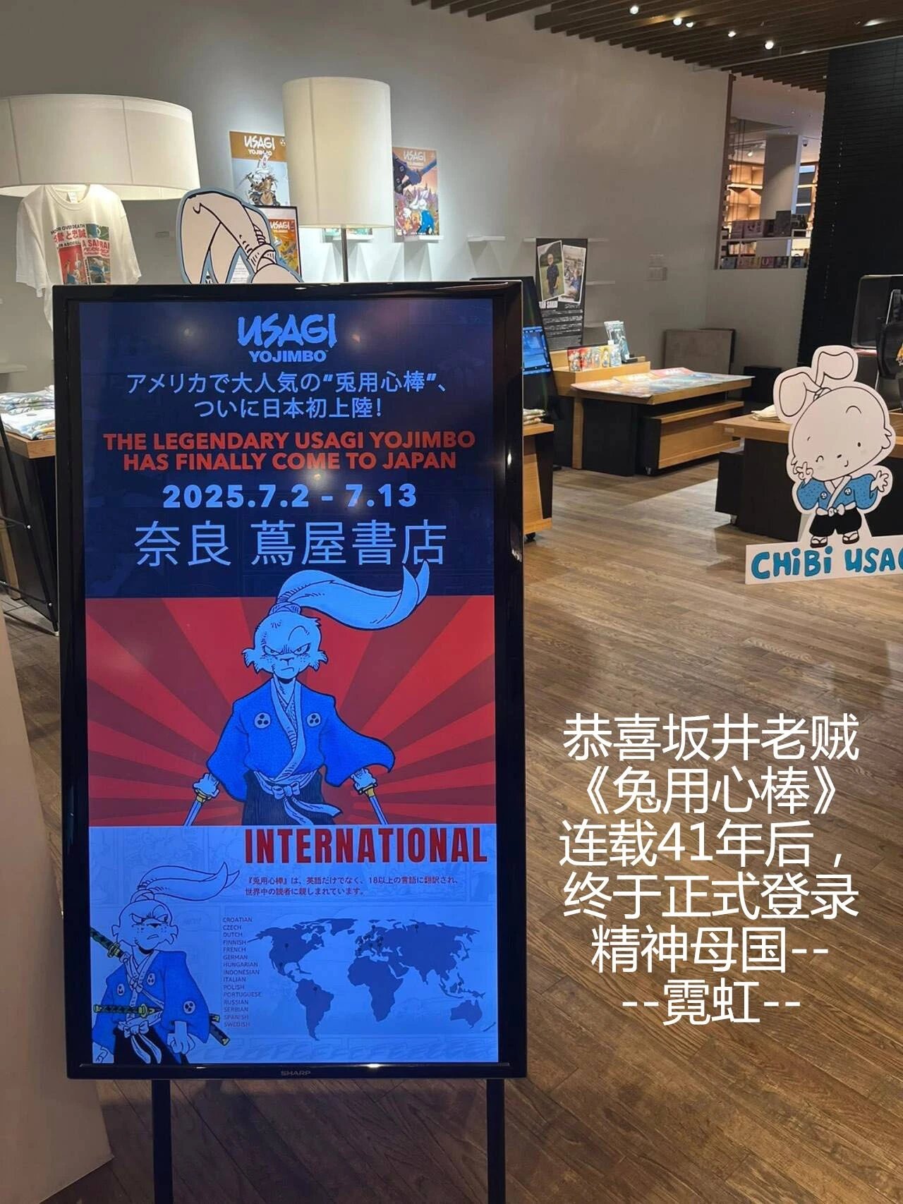 狮心猫