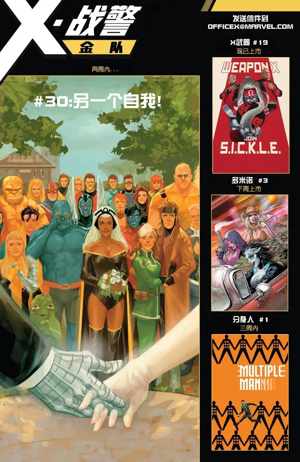 第29卷