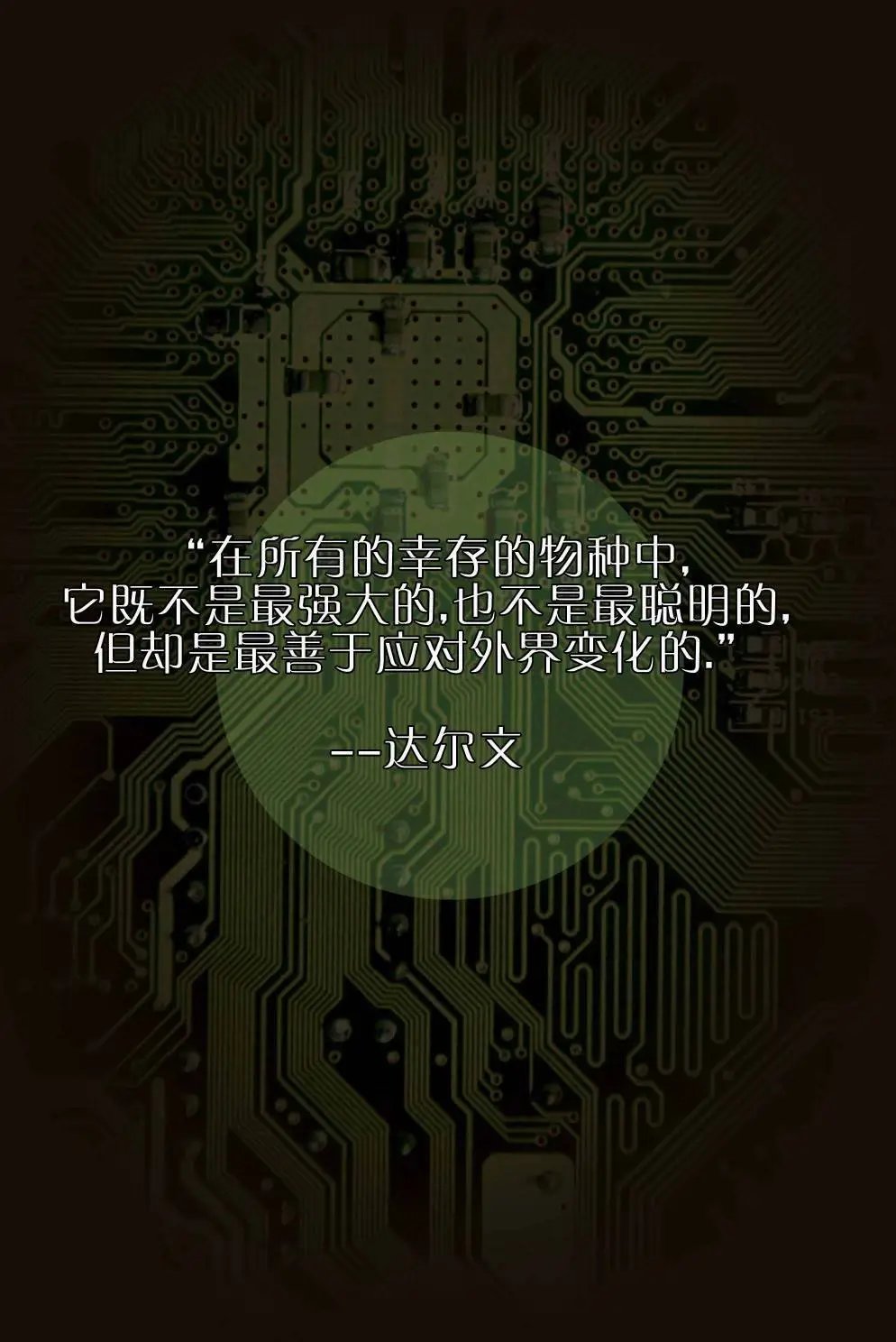 第07卷