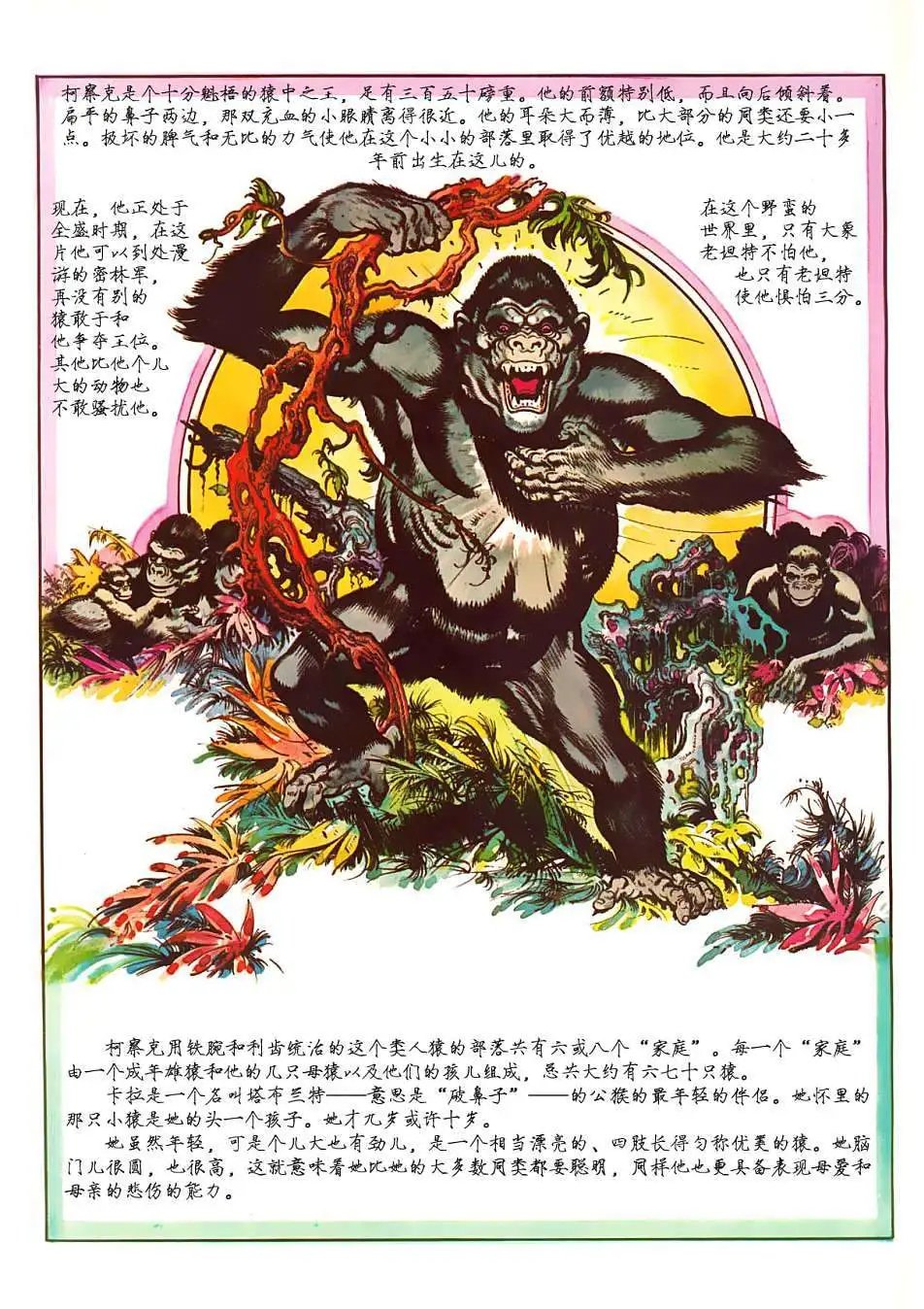 上卷