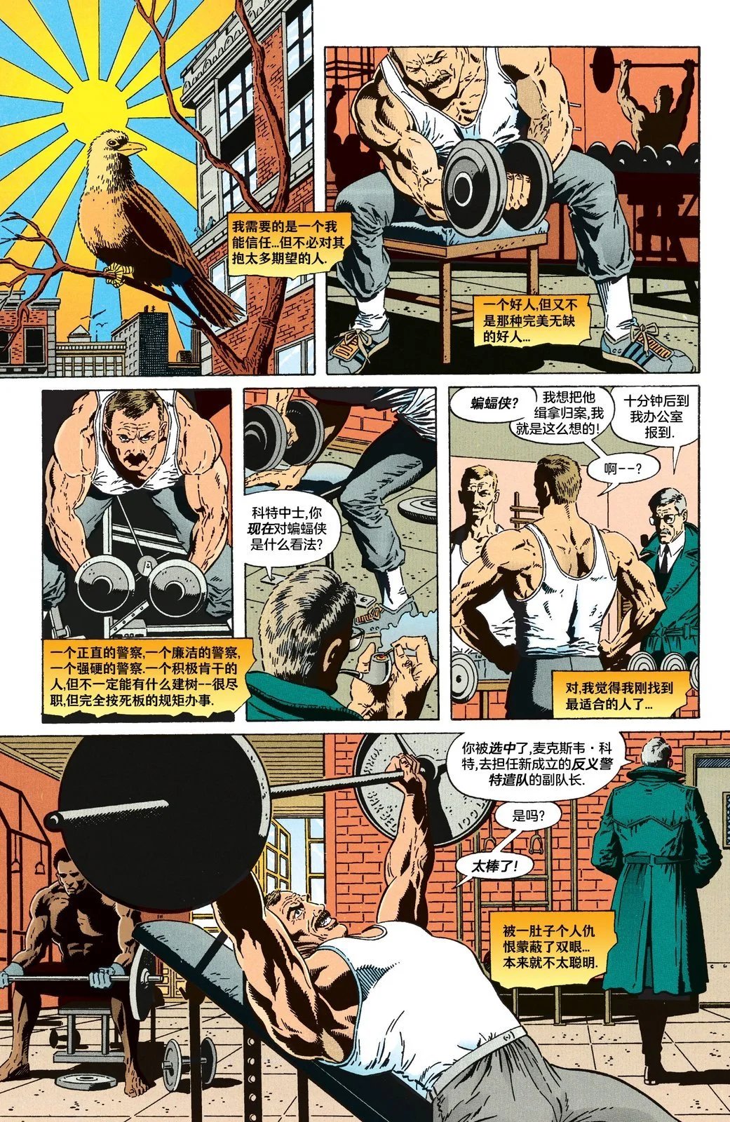 第11卷
