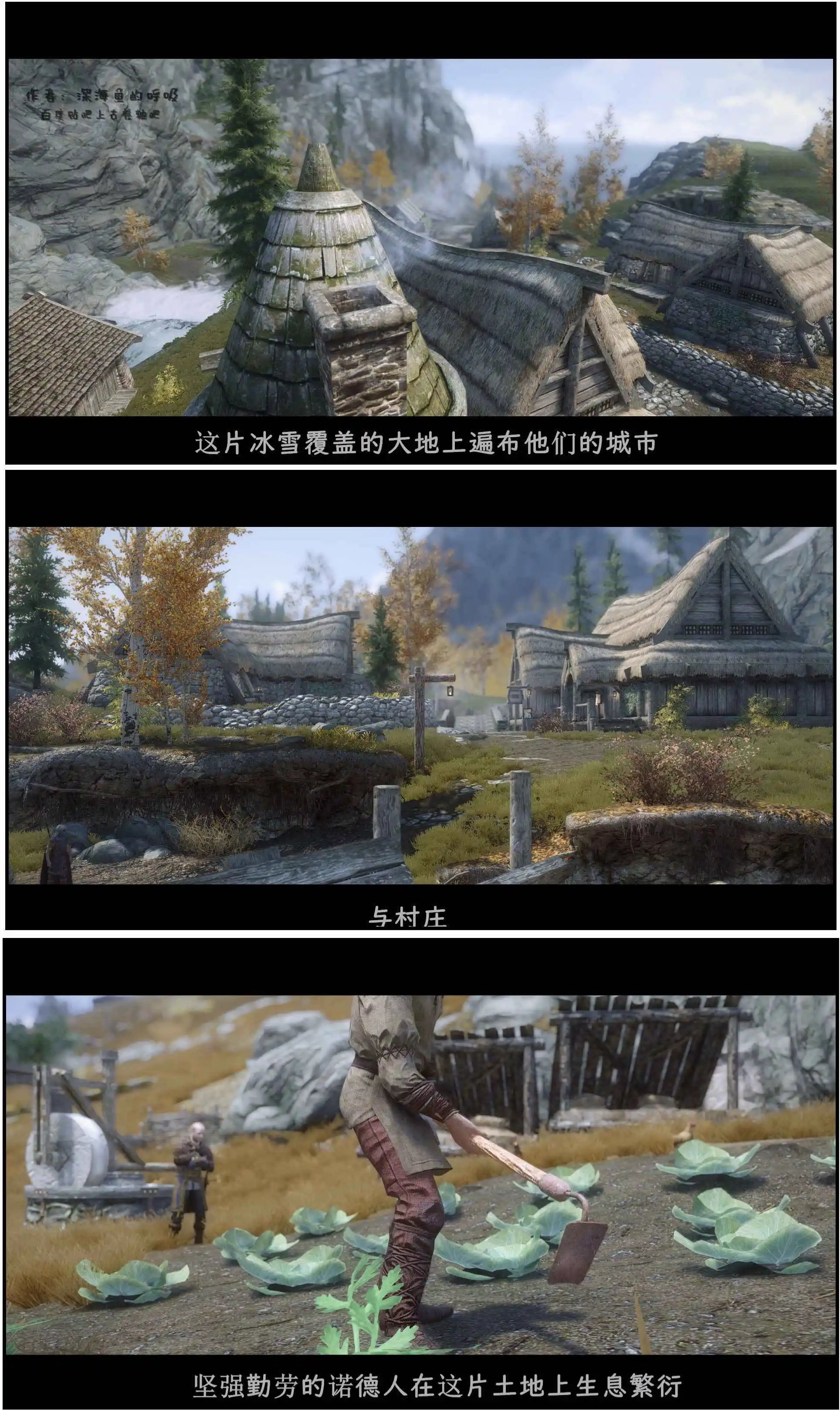 第11章