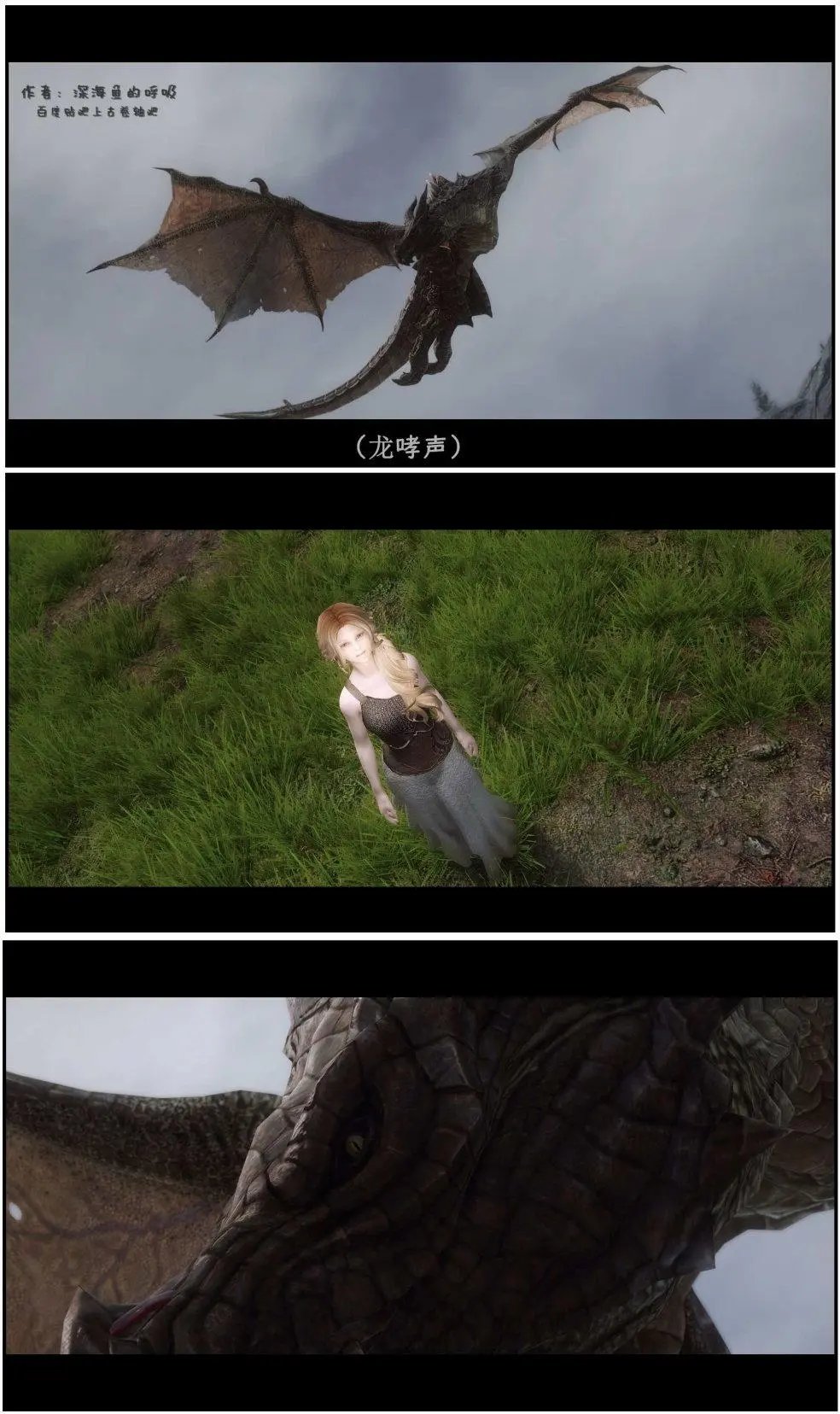 第12章