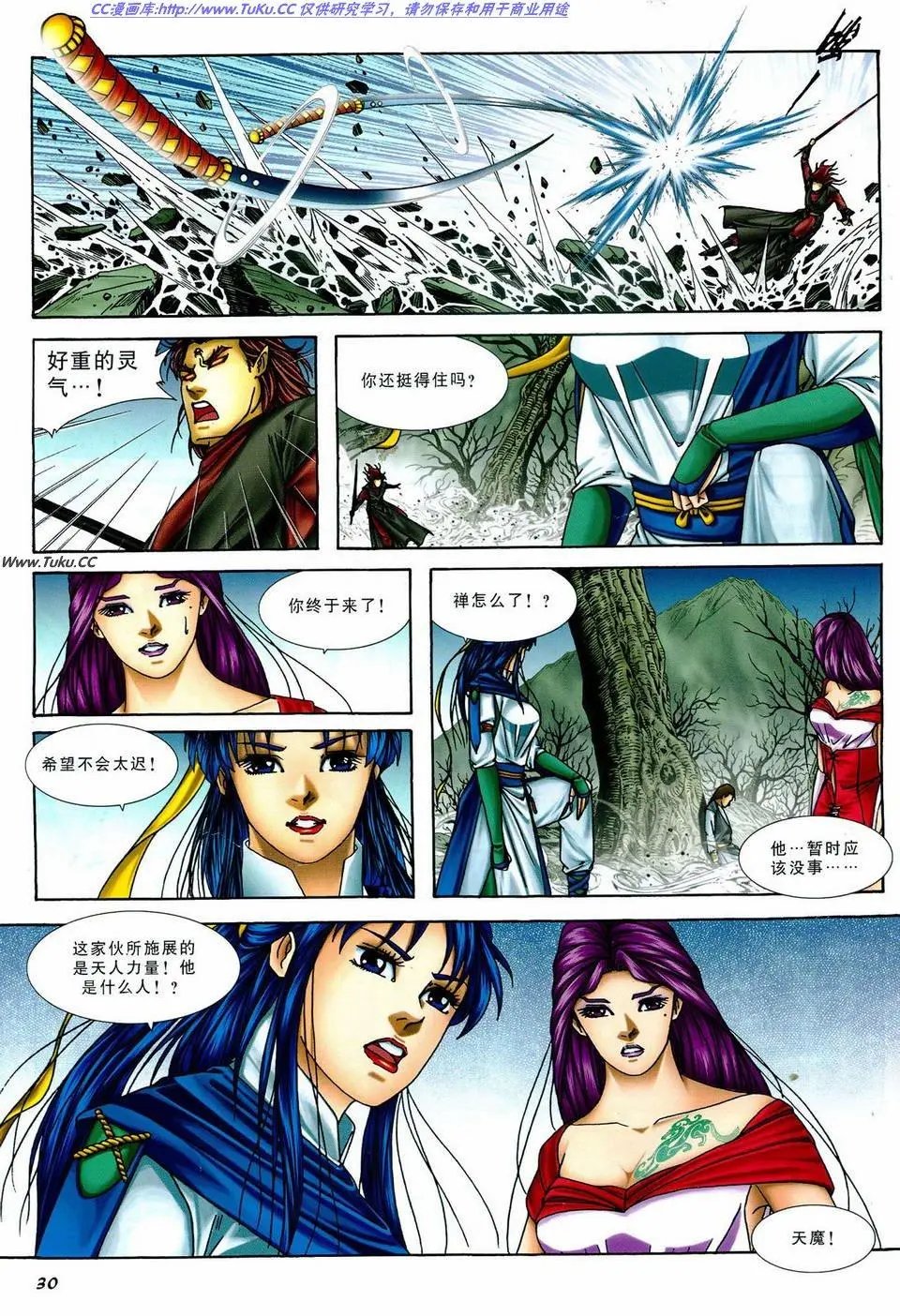 第30卷